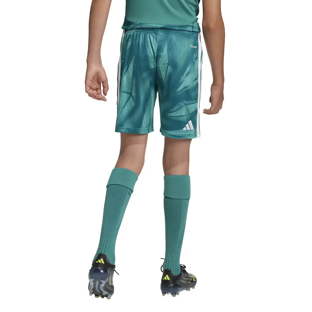 Deutschland 26 Torwart-Heimshorts - Kinder